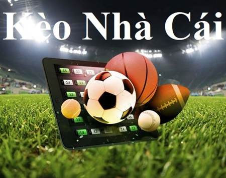 Khám Phá Thế Giới Giải Trí Tại BK8